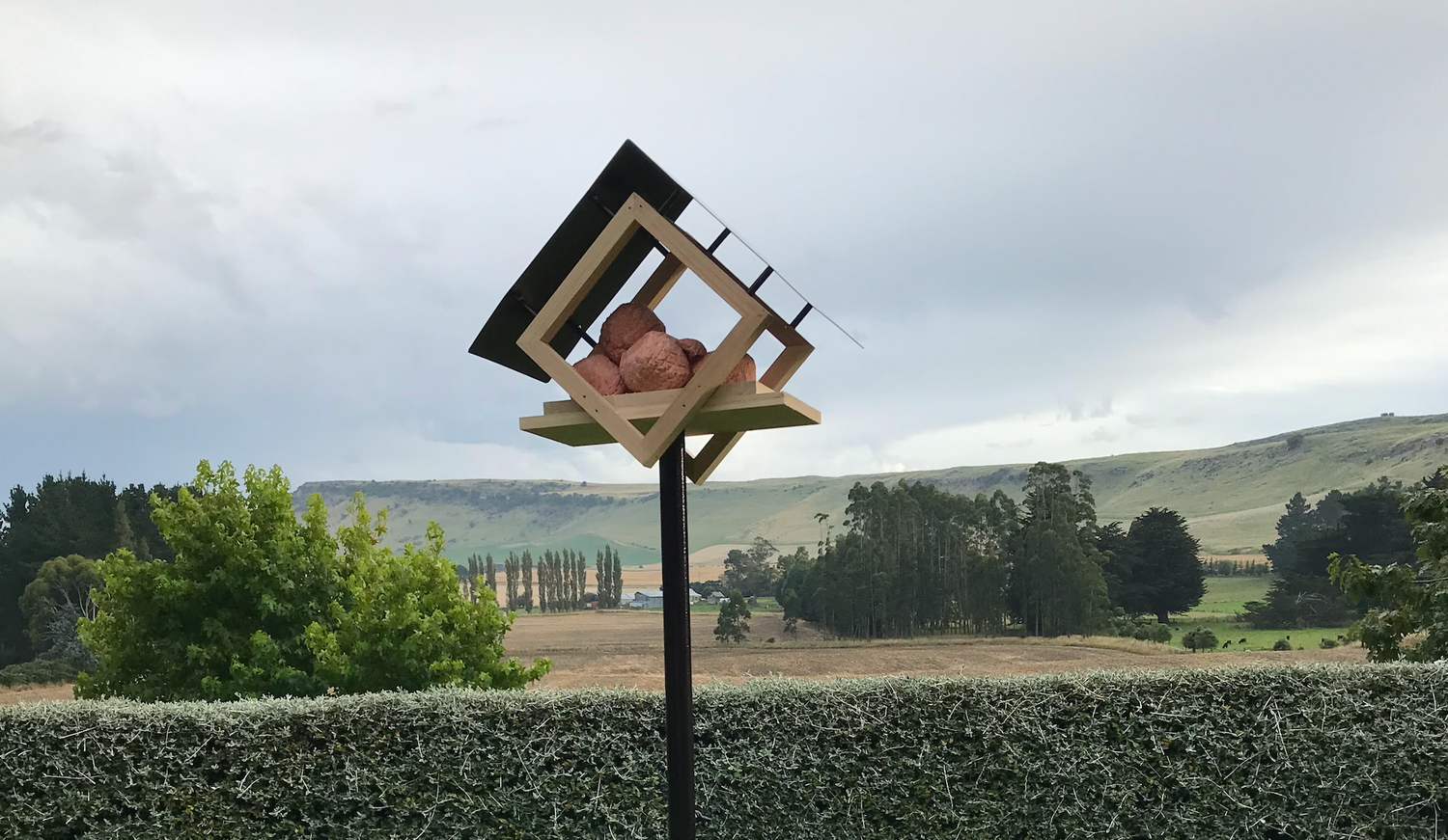 Tree-free bird feeders for New Zealand gardens