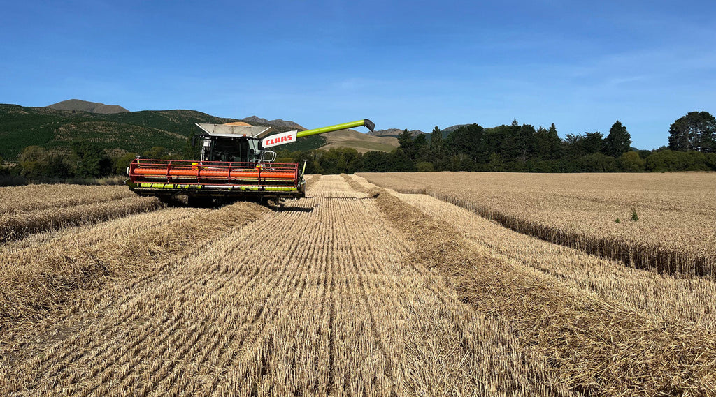 Meet the Grower: Rob Hewett