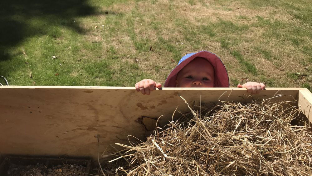 Product Spotlight: Meadow Hay