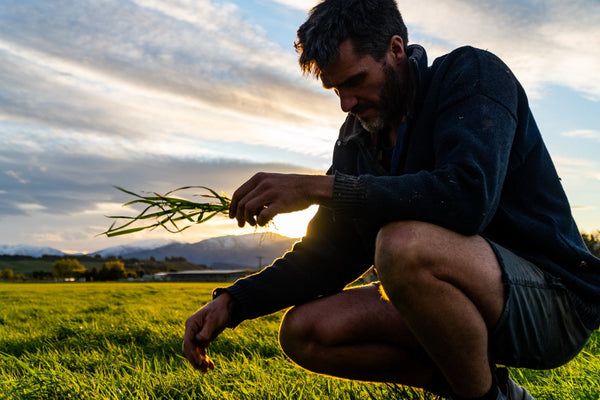 Top seed: What we grow – and why