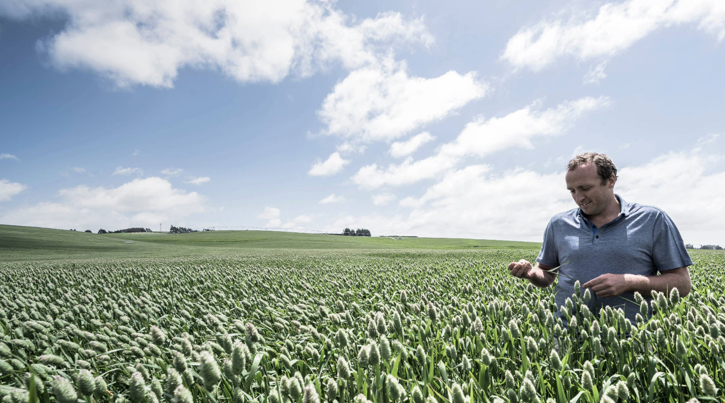 From farm to feeder: The advantages of supporting New Zealand growers and producers