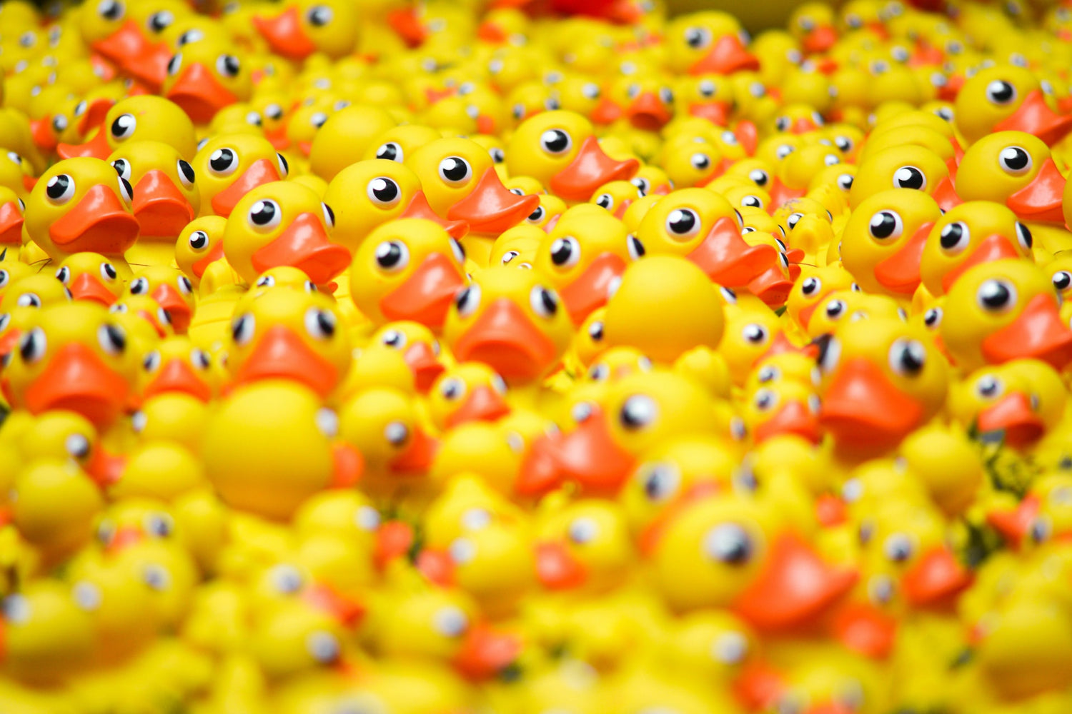 Duck duck, go! Our five favourite fictional ducks
