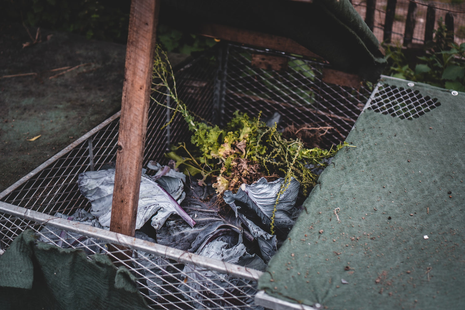 How to compost packaging from our Wild Bird range