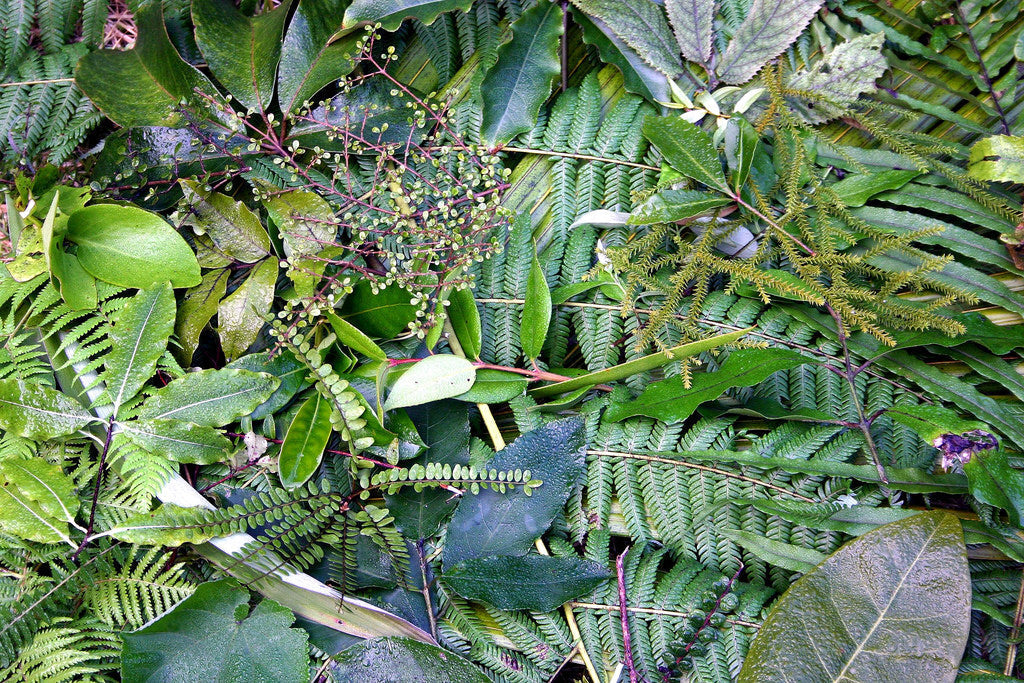 Five Bird-scaping Garden Tips