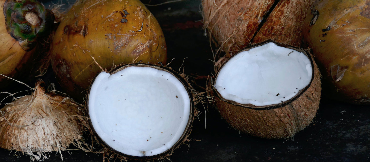 A lovely bunch of coconuts