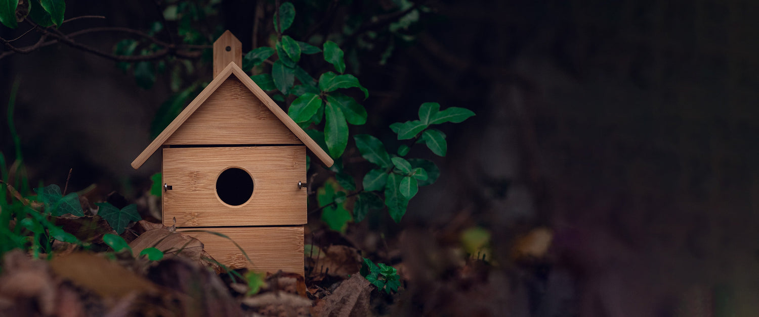 Shelters & Bug Huts