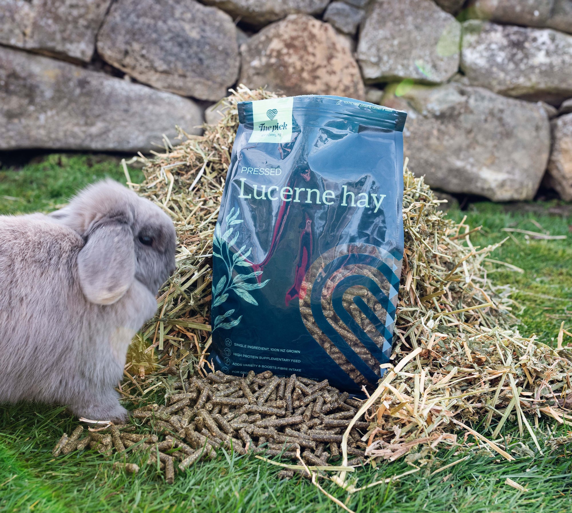 Topflite Pressed Lucerne Hay with rabbit