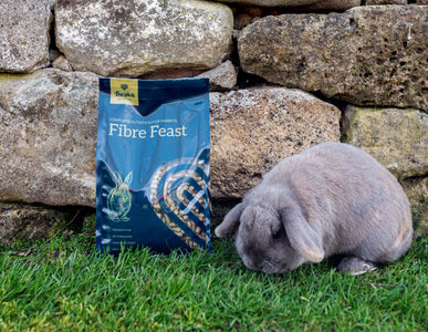 The Pick Fibre Feast & Rabbit