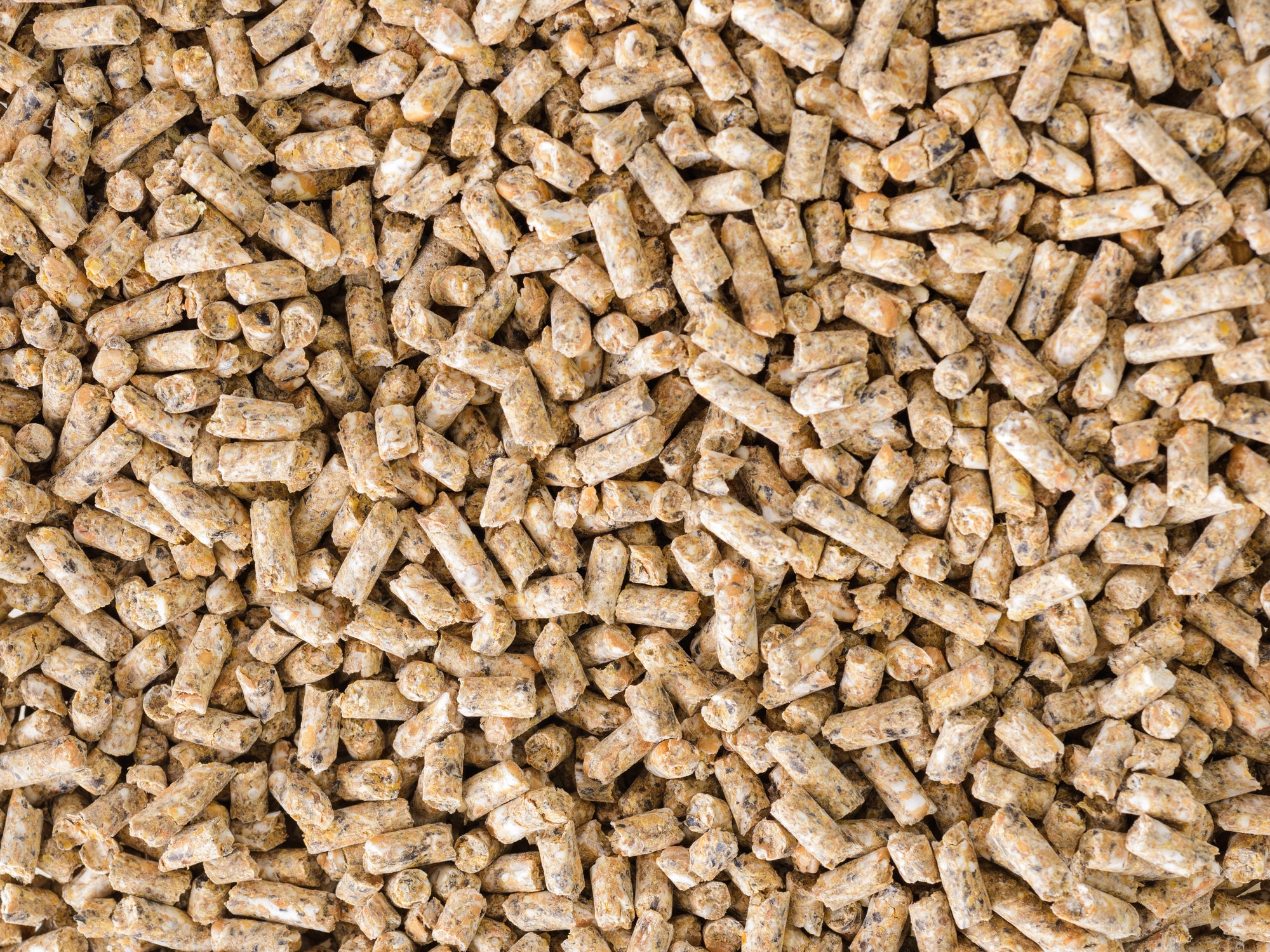 Topflite Classic Layer Pellets close up