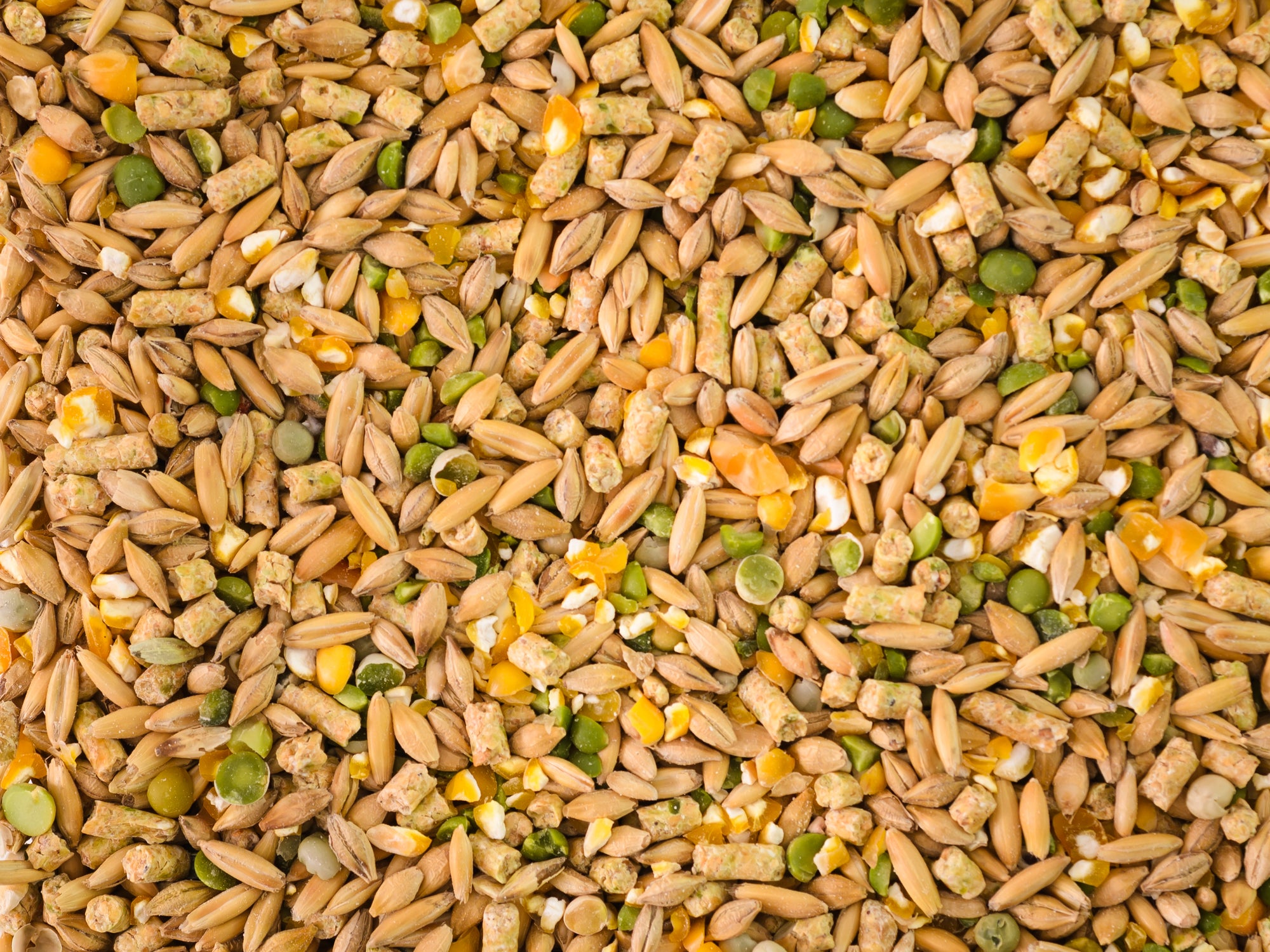 Lucky Duck (Duck food)