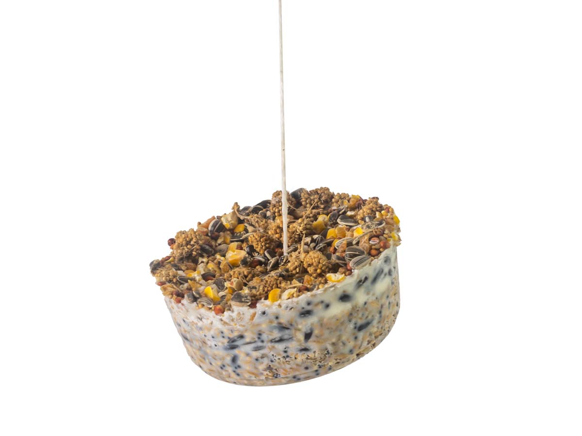 Wild Bird Gourmet Hanging Treat