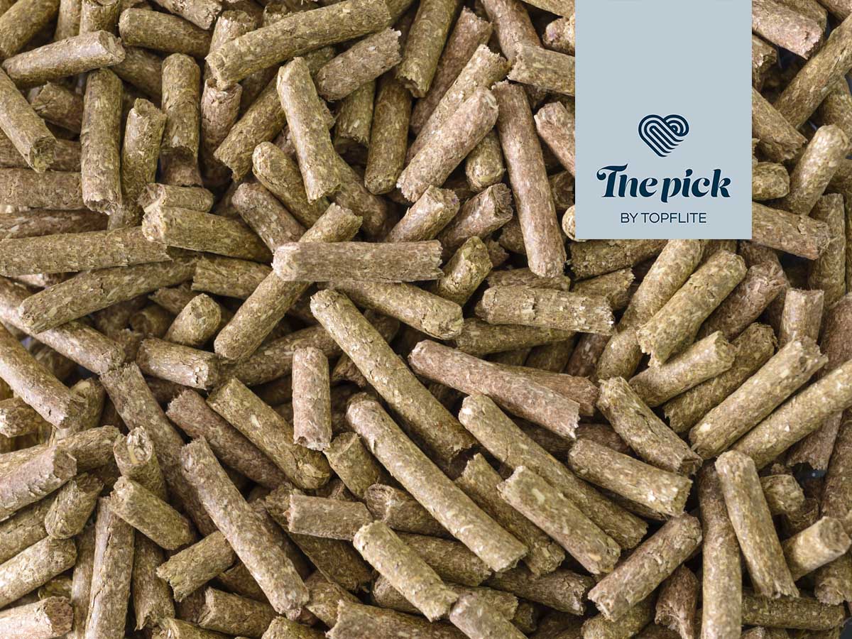 The Pick - Fibre Feast for Rabbits