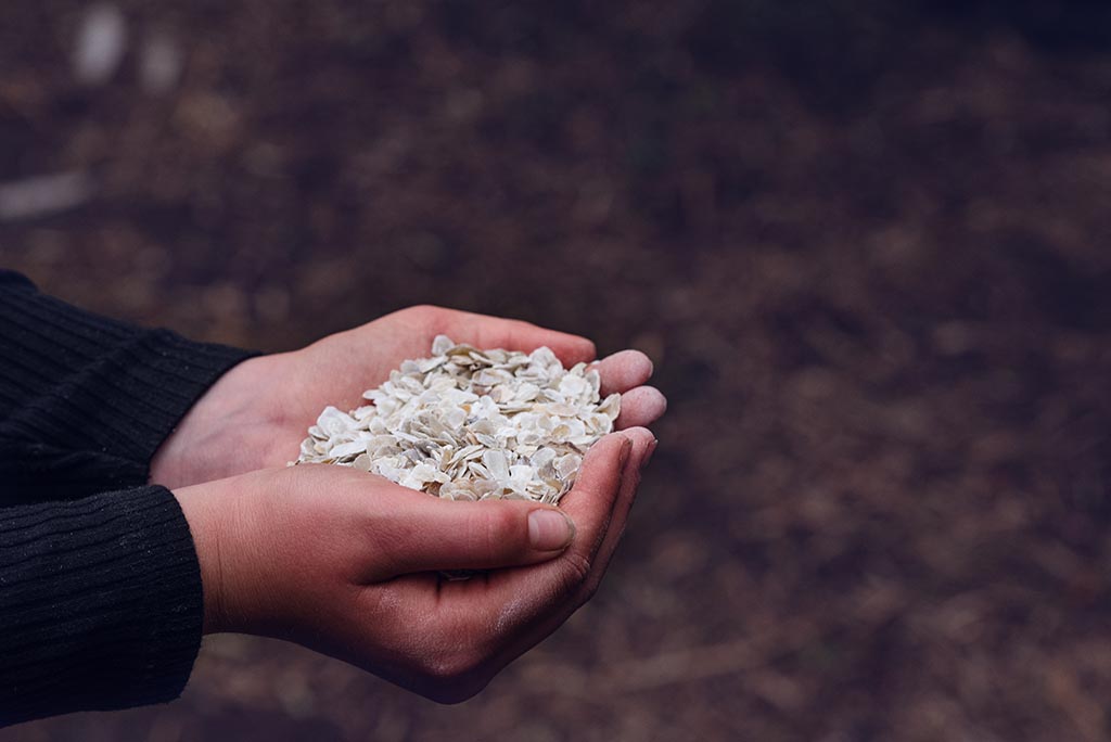 Oyster Shell Coarse Grit