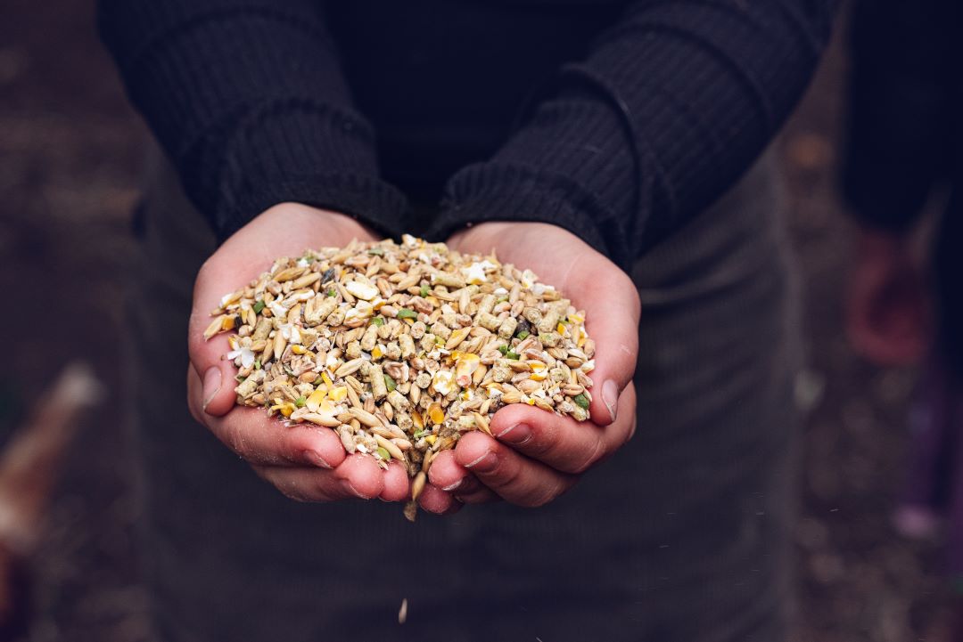 Handful of Topflite Scratch & Lay