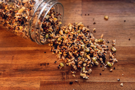 Topflite Soak & Sprout after soaking