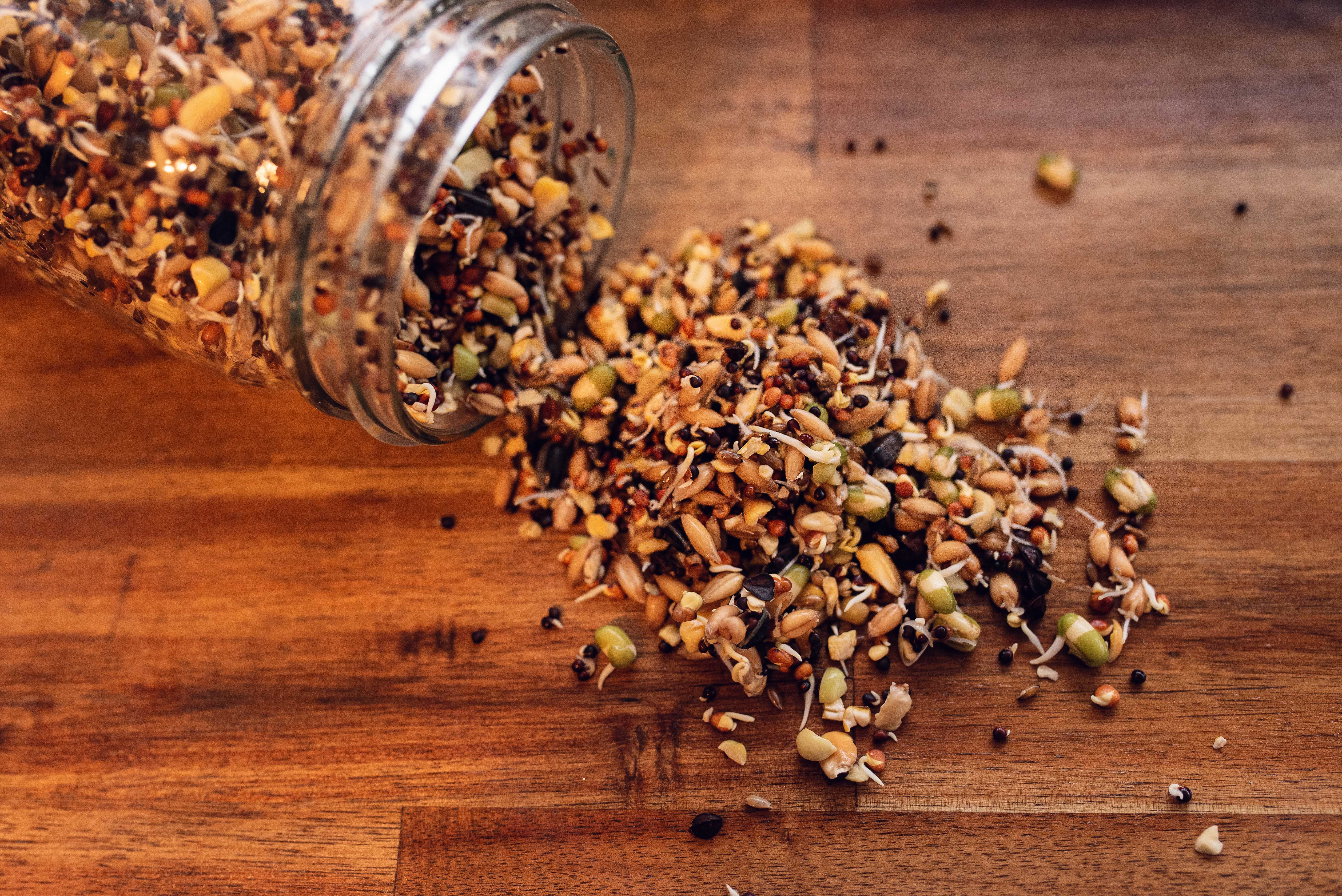 Topflite Soak & Sprout after soaking