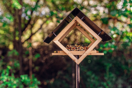Topflite Sprouts in the Topflite Penthouse
