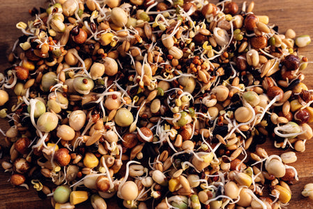 Scatter of Topflite Sprouts