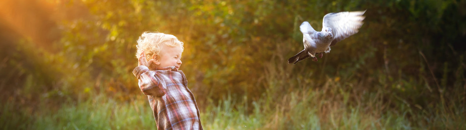 Boy and bird having fun in the sun. Topflite bird and small animal feed made in New Zealand