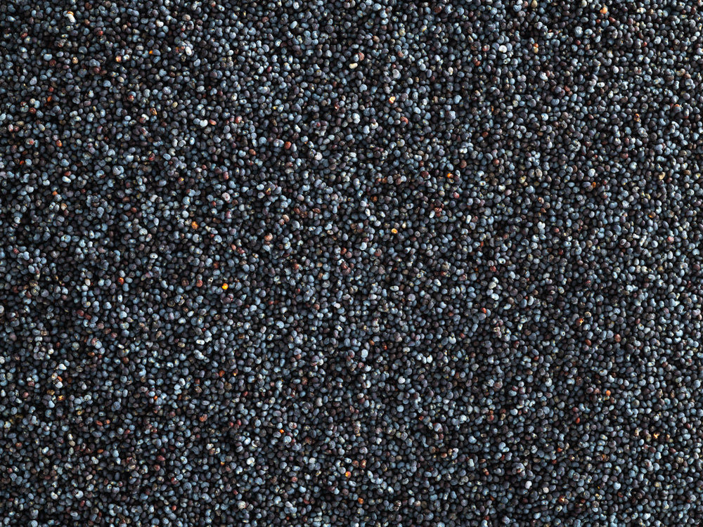 Close up of Topfite Blue Maw