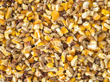 Close up of Topflite Dove Seed Mix