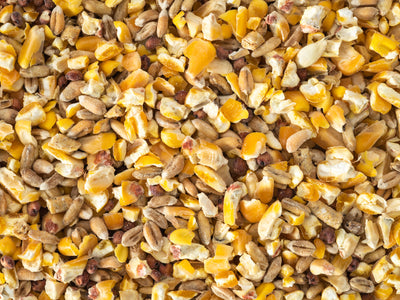 Close up of Topflite Dove Seed Mix