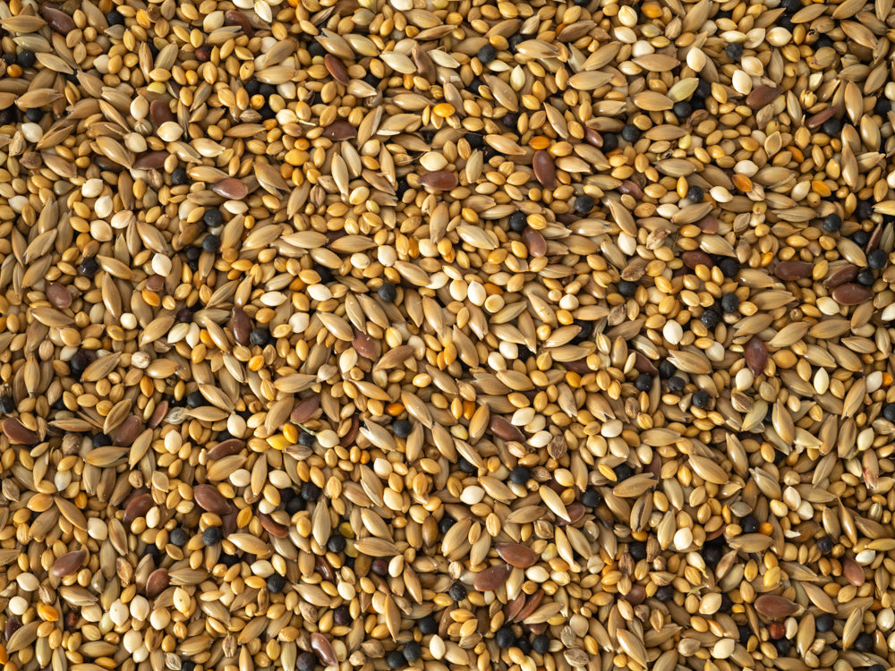 Close up of Topflite Finch Mix