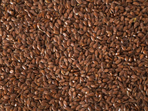 Close up of Topflite Linseed