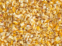 Close up of Topflite Kibbled Maize