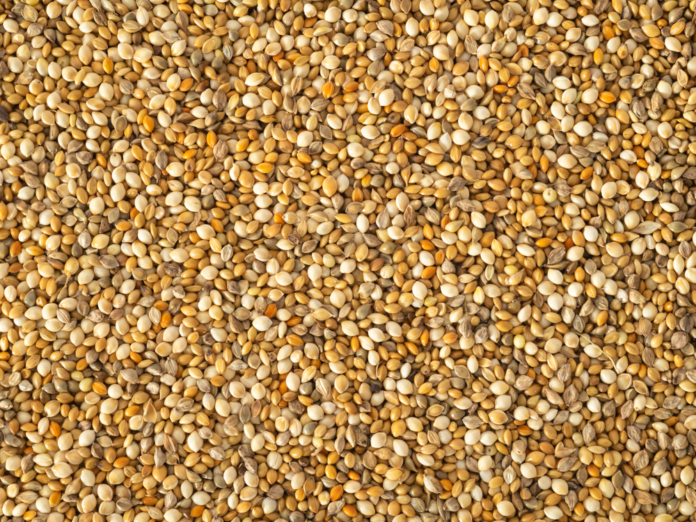 Topflite Millet Mix close up