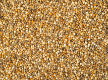 Topflite Millet Mix close up