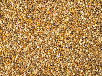 Topflite Millet Mix close up