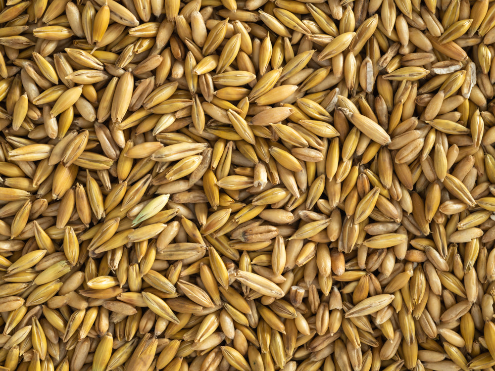 Close up of Topflite Whole Oats