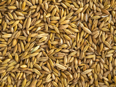 Close up of Topflite Whole Oats