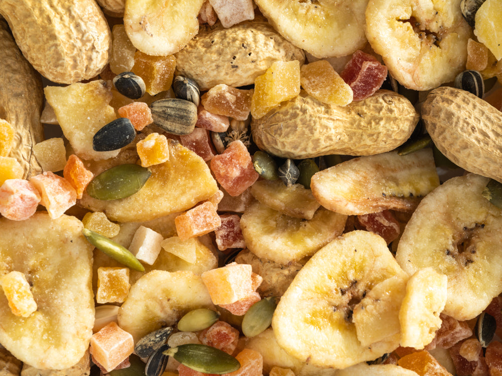 Close up of Topflite Exotic Parrot Mix