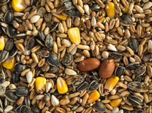 Close up of Topflite Parrot Mix