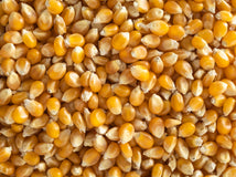 Close up of Topflite Popcorn