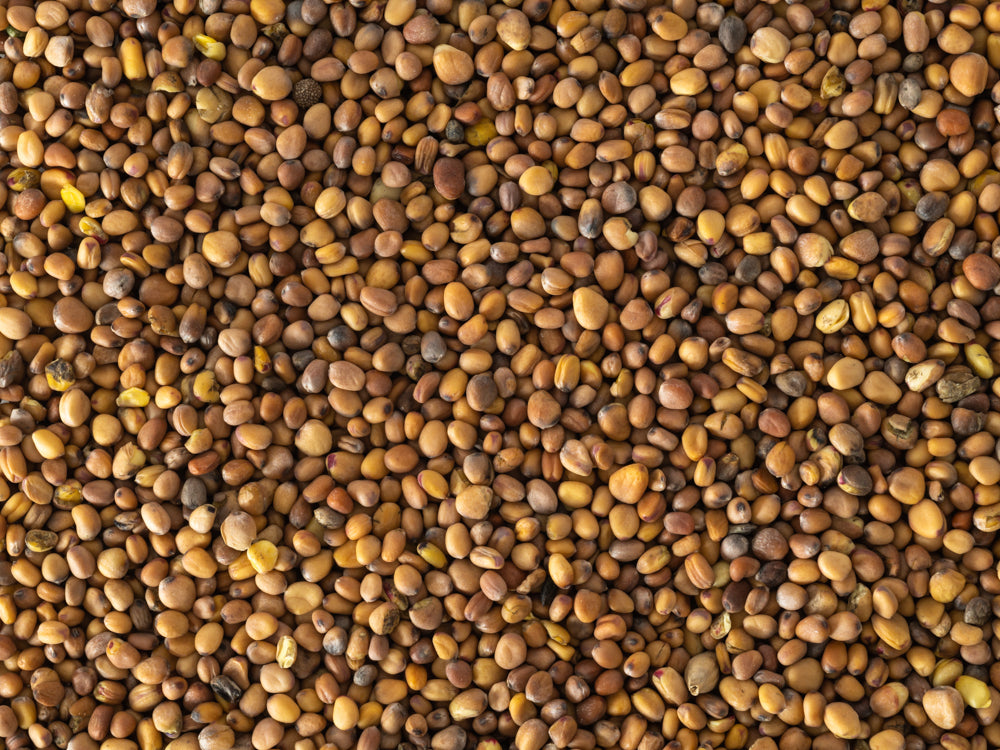 Close up of Topflite Radish