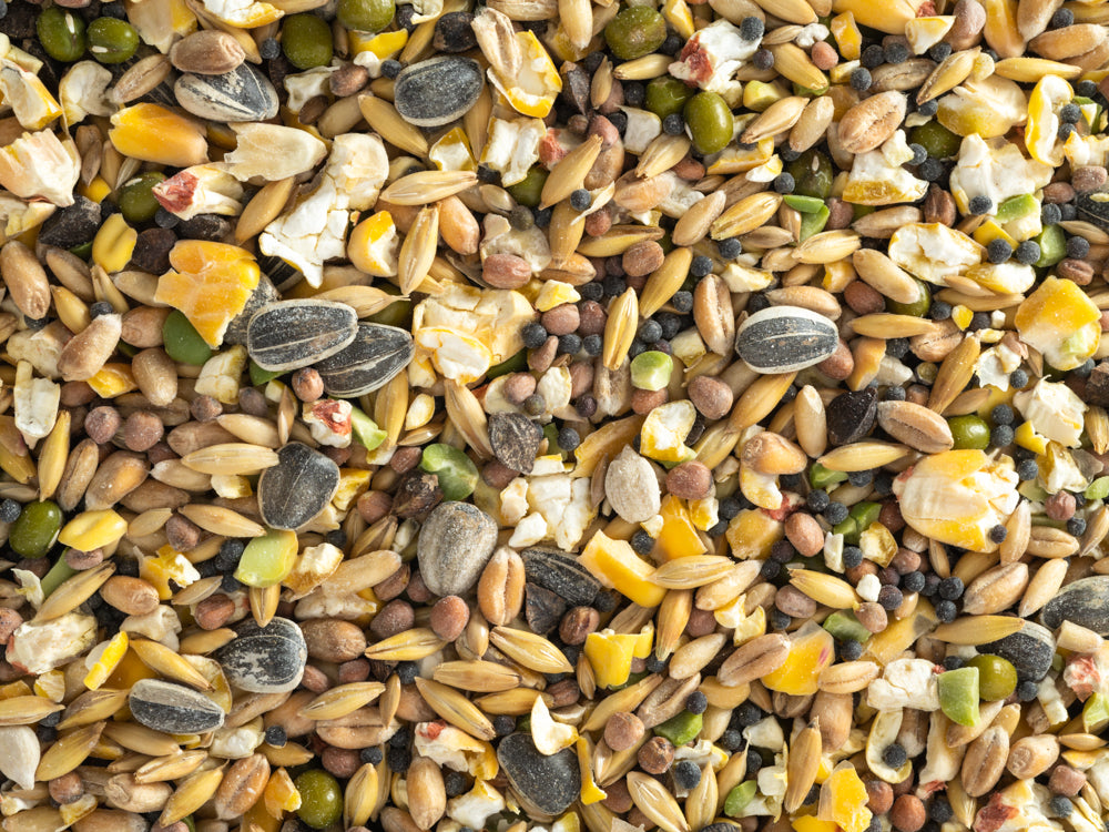 Close up of Topflite Soak & Sprout