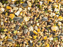 Close up of Topflite Soak & Sprout