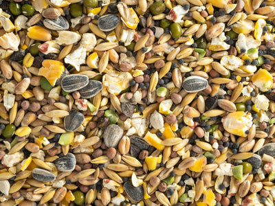 Close up of Topflite Soak & Sprout