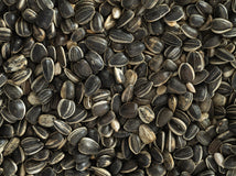 Topflite Sunflower Seeds close up