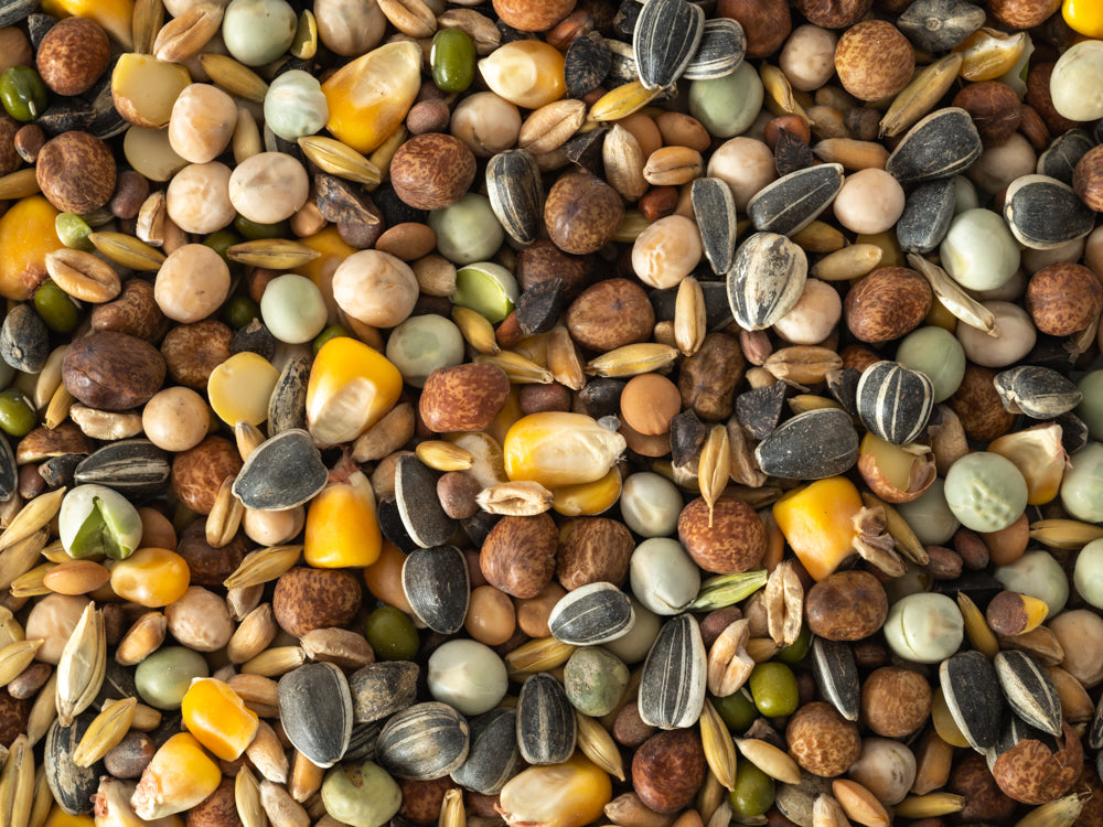 Close up of Topflite Super Sprout