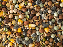 Close up of Topflite Super Sprout