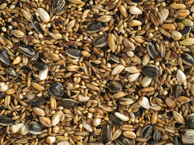 Close up of Topflite Aviary Mix