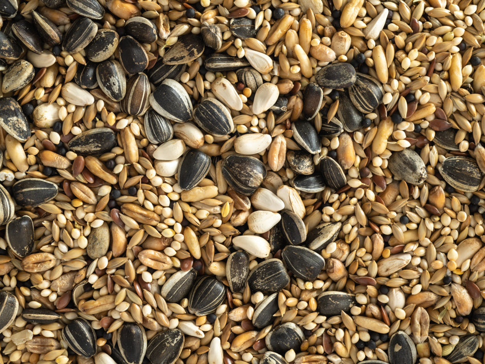 Cockatiel Seed Mix