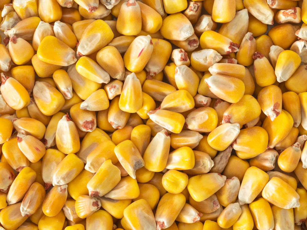 Whole Maize