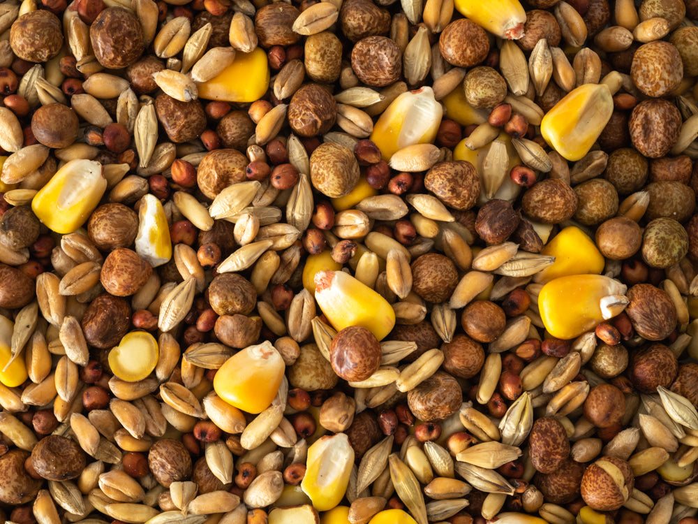 Pigeon Seed Mix