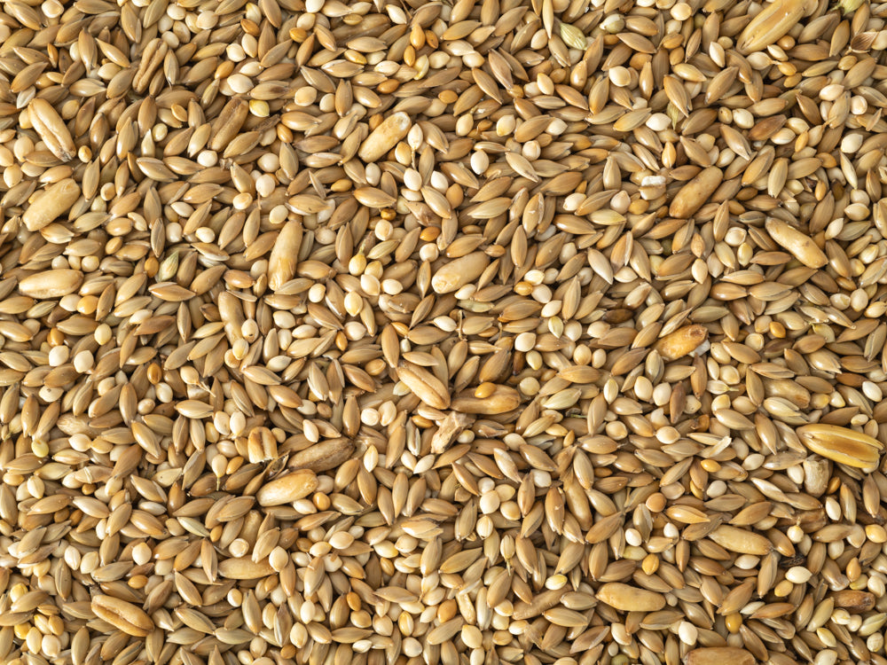 Close up of Topflite Budgie Seed Mix