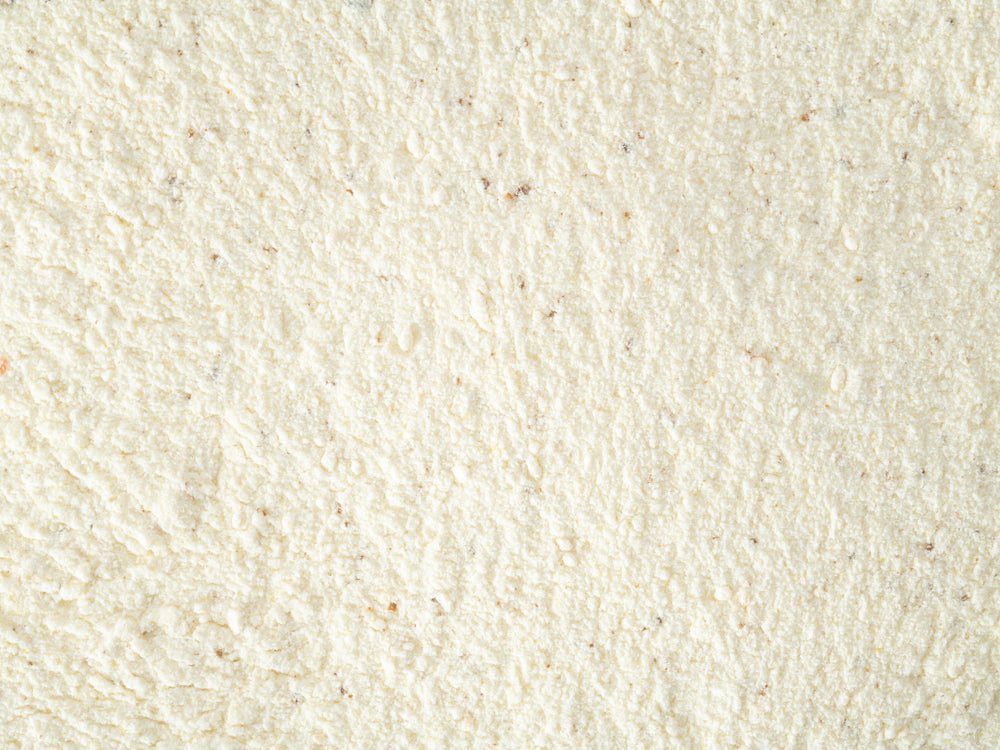 Close up of Topflite Lorikeet Dry